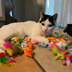14pcs Cat Toys Mixed Pack
