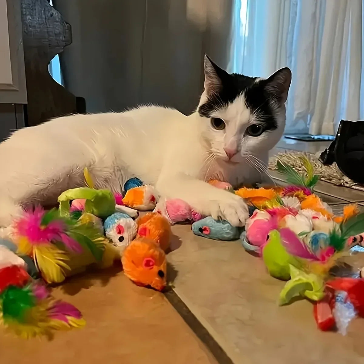 14pcs Cat Toys Mixed Pack