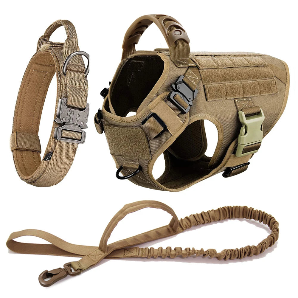 Pet Harness, Leash, Collar Set