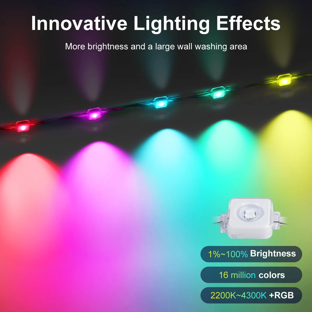 Permanent Outdoor Lights