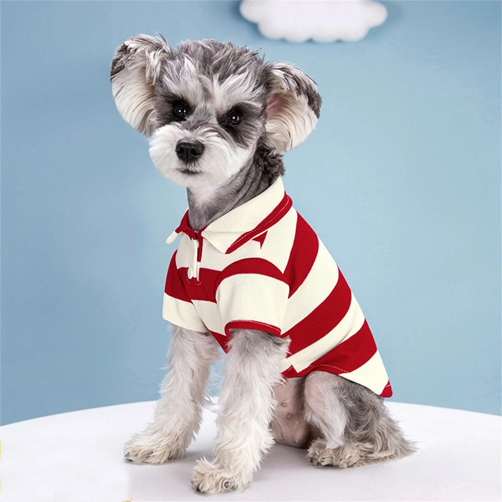 Striped Polo Pet Clothes