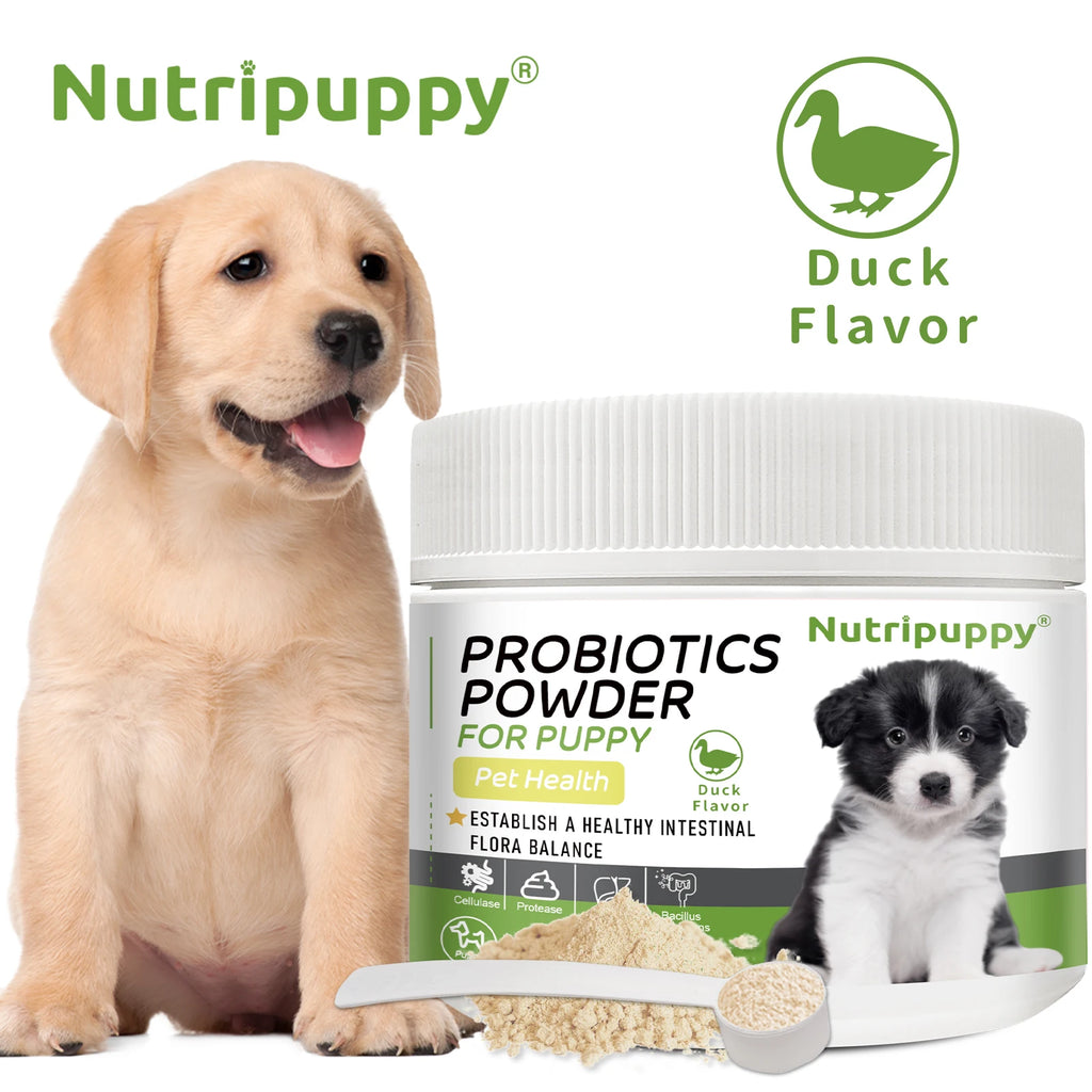 Pet Probiotic Powder Supplement