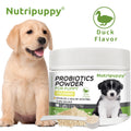 Pet Probiotic Powder Supplement