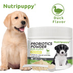 Pet Probiotic Powder Supplement