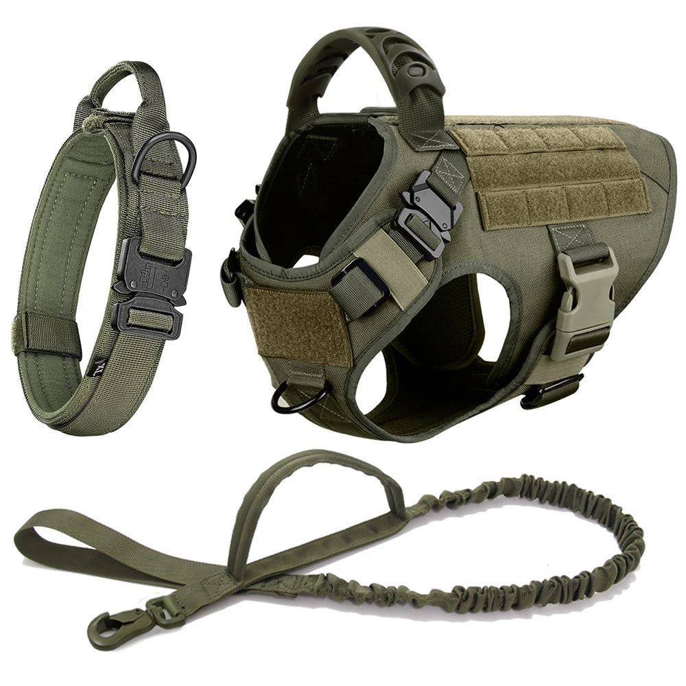 Pet Harness, Leash, Collar Set