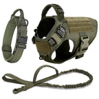 Pet Harness, Leash, Collar Set