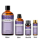 Aromatherapy Oil / Diffuser 10ML/30ML/100ML
