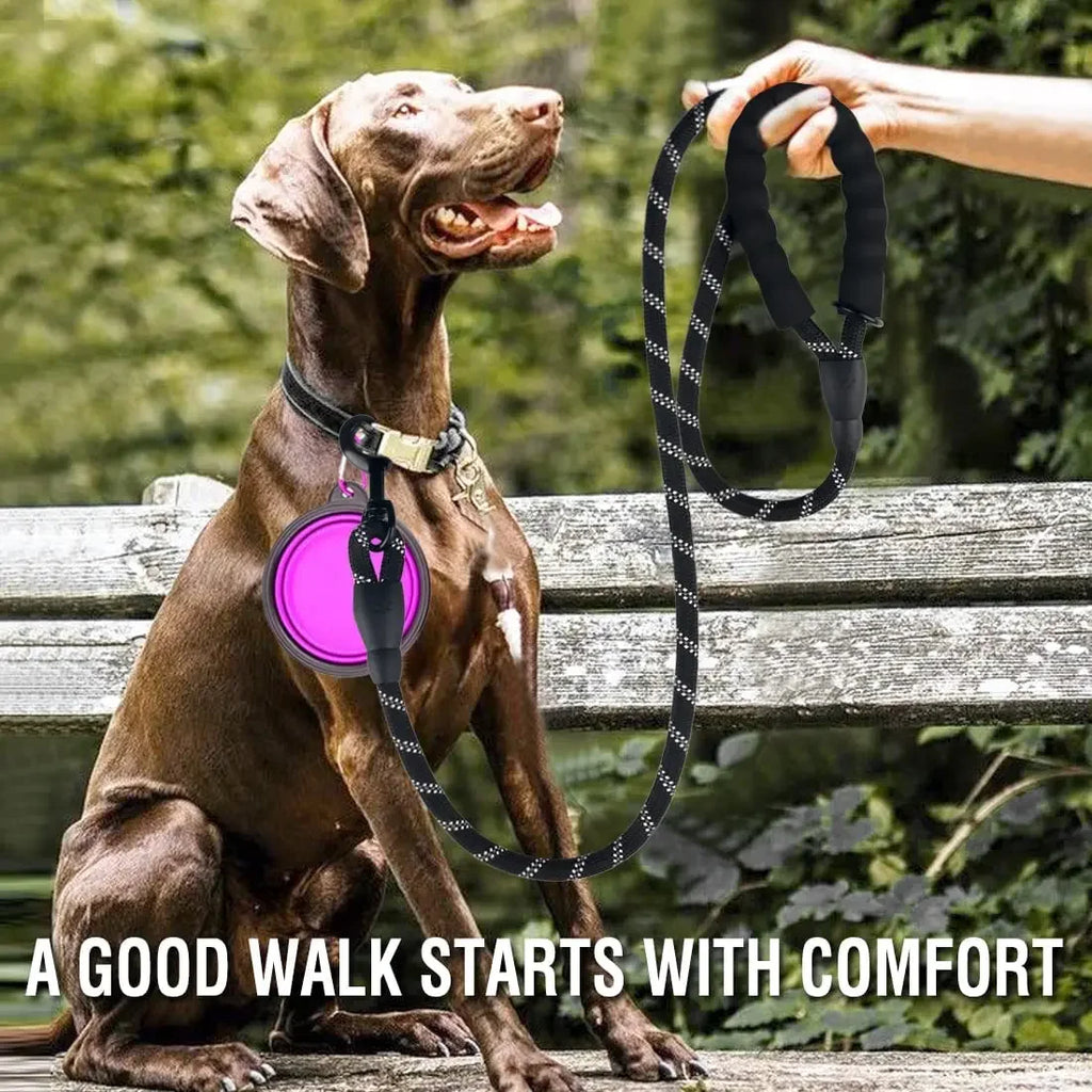 Pet Leash, Reflective